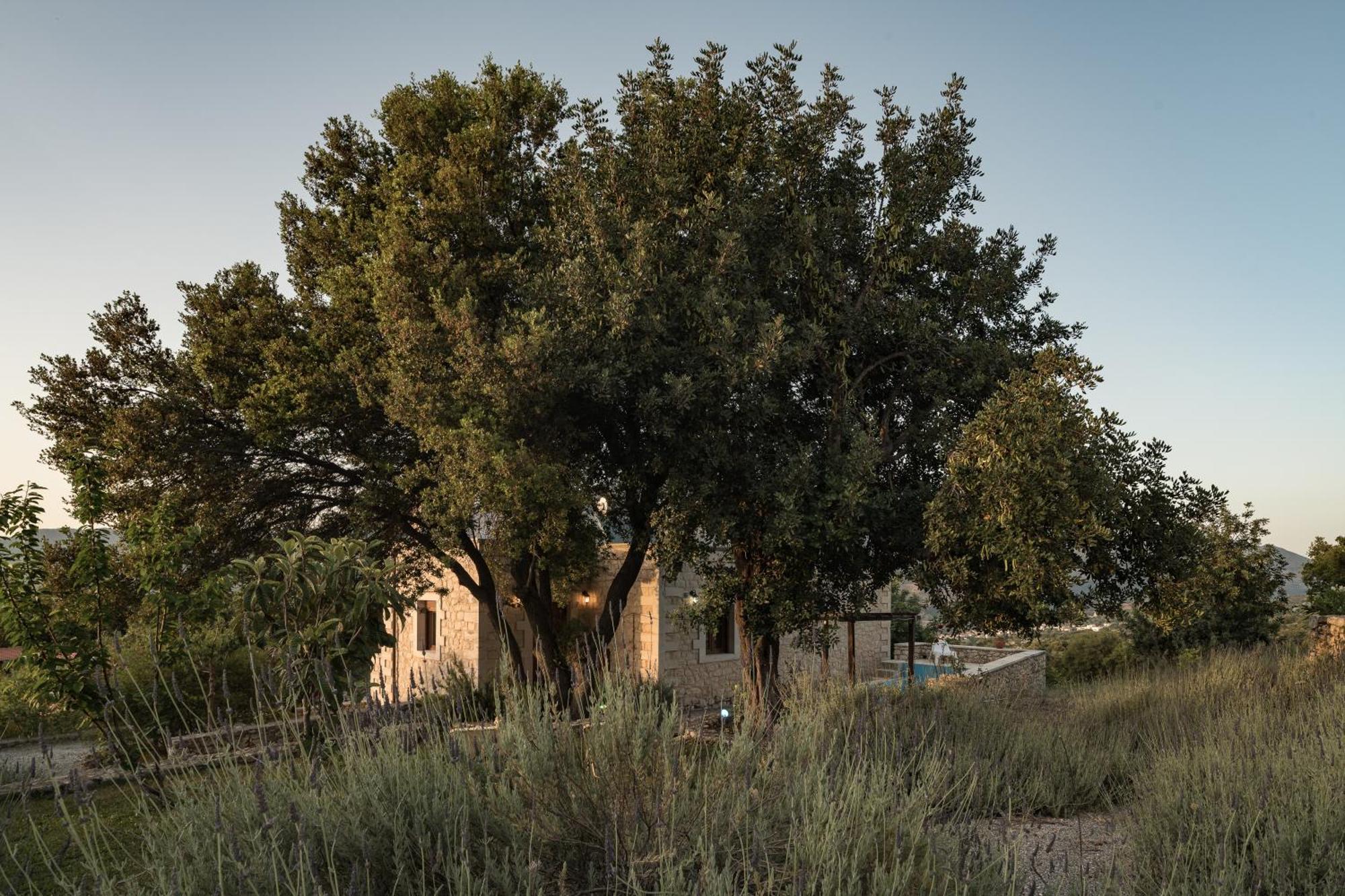 Koules Estate, With Private Pools & Bbq - Embracing Nature, By Thinkvilla Argouli Rom bilde